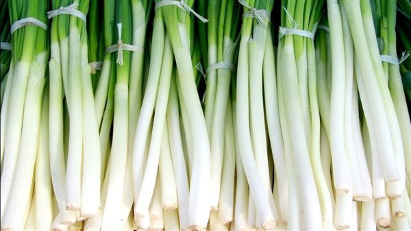 green onion